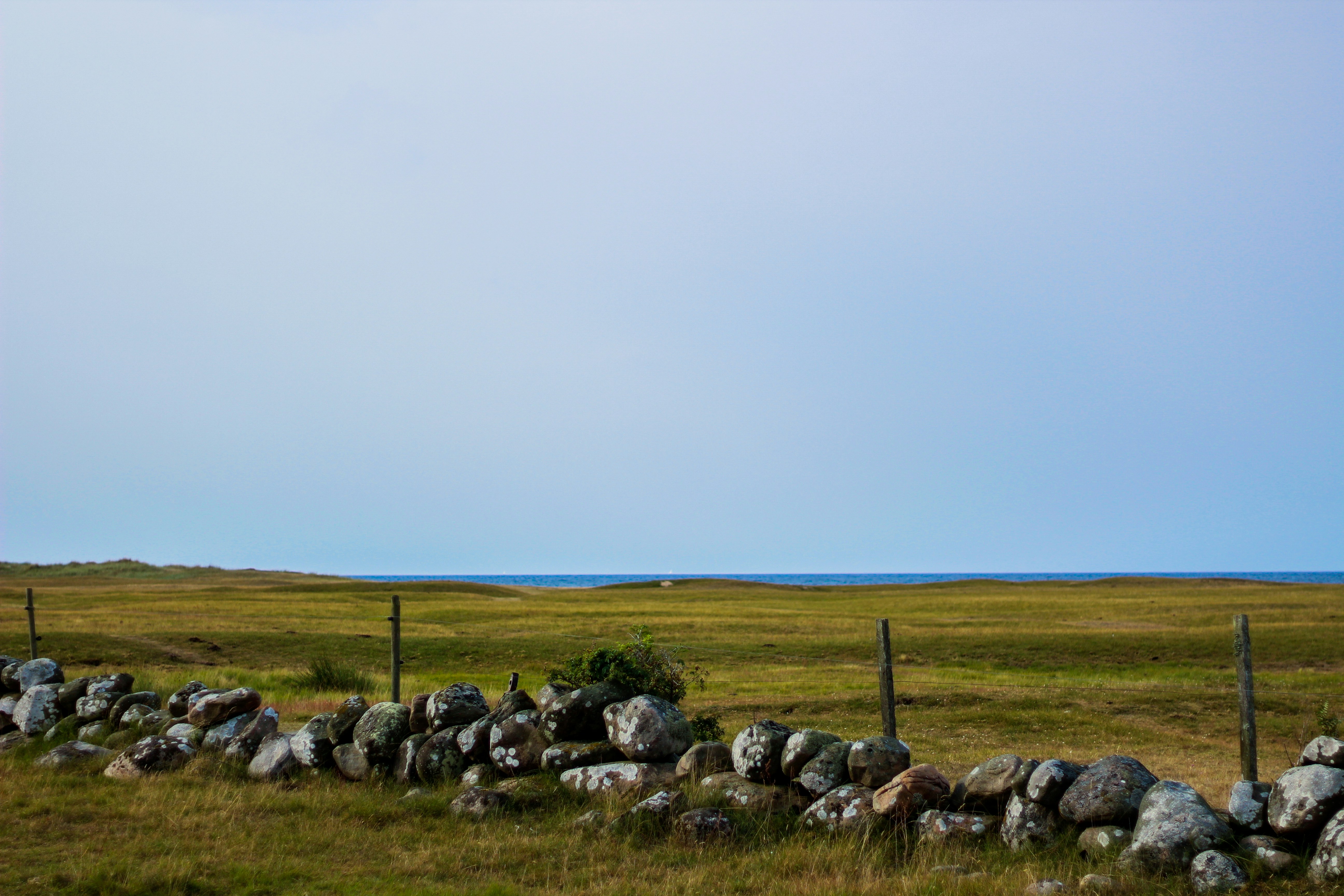 Photo by kamilslusarczyk