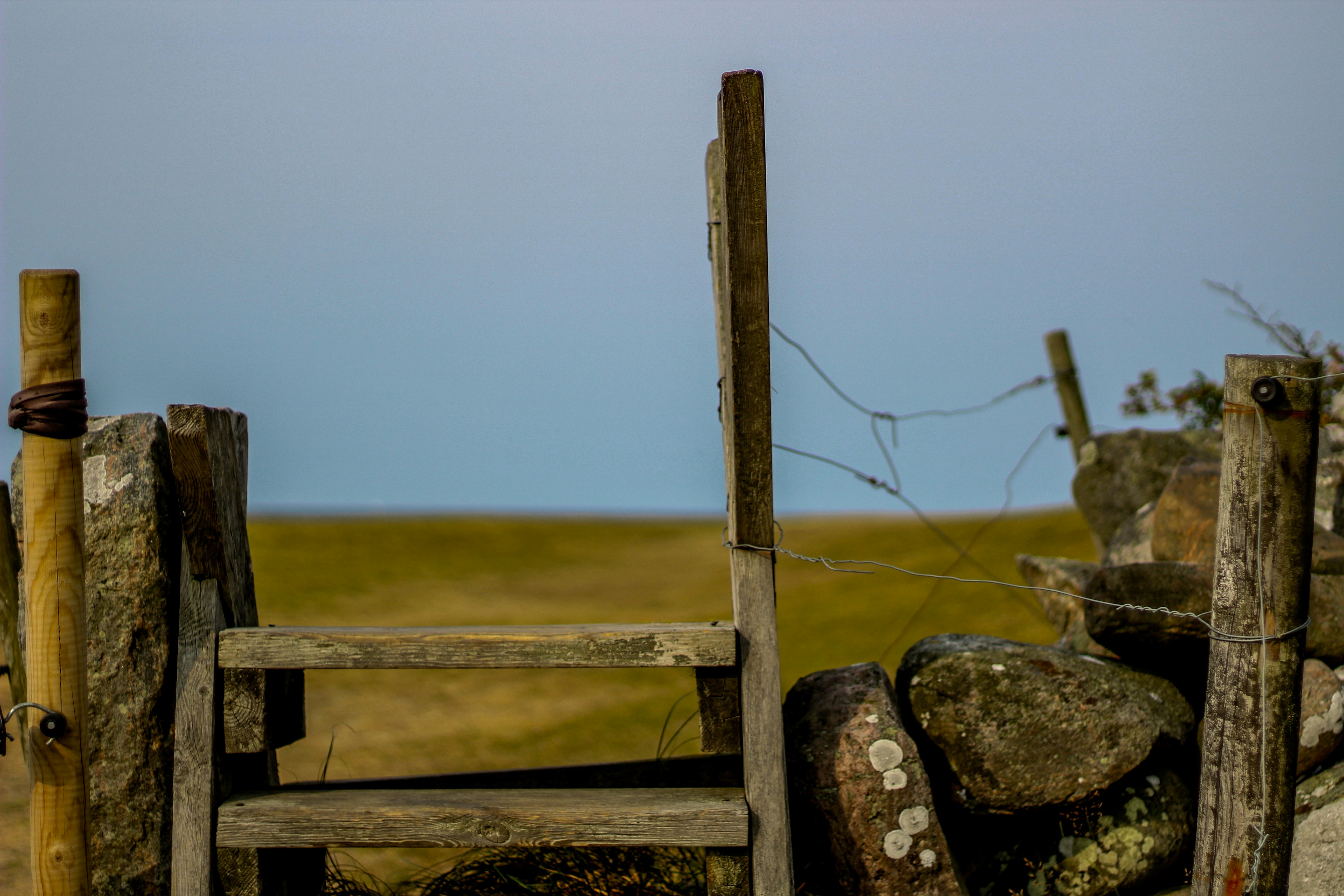 Photo by kamilslusarczyk