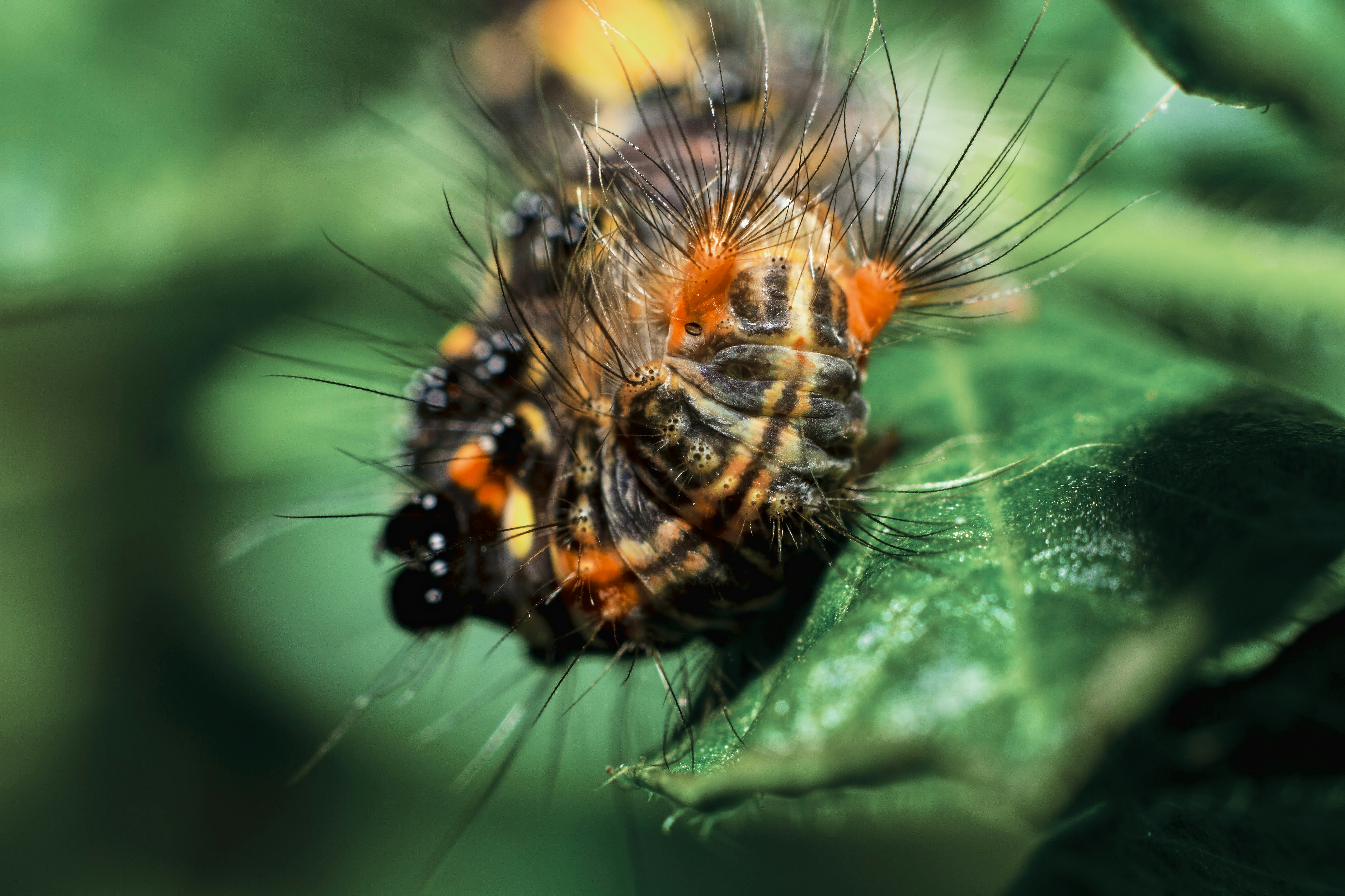 Photo by thaprobanana