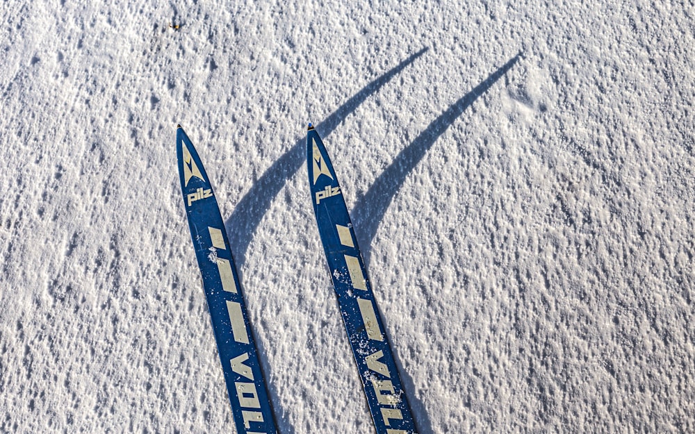 blue and white snow ski blades