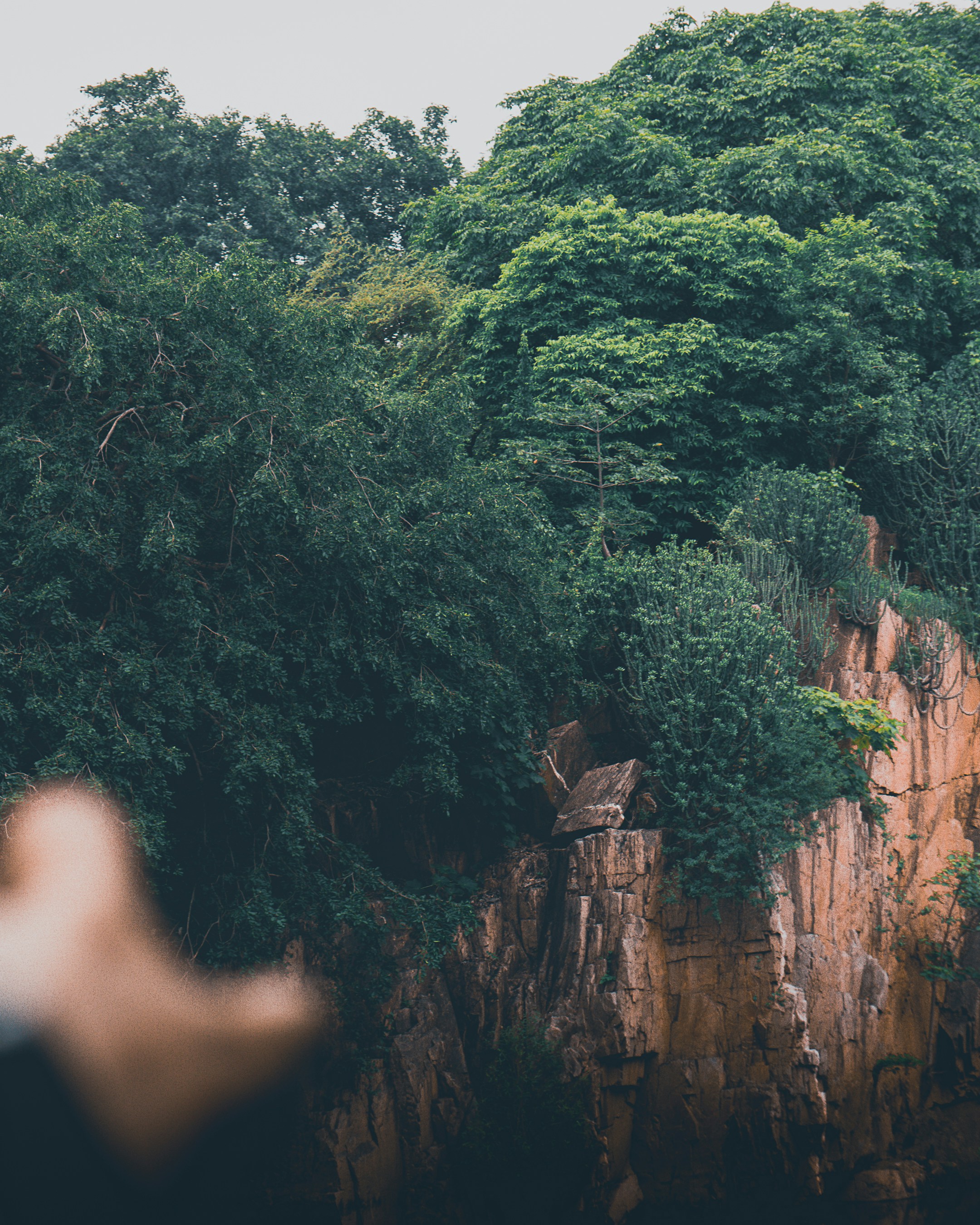 Photo by shubhamdodiya_