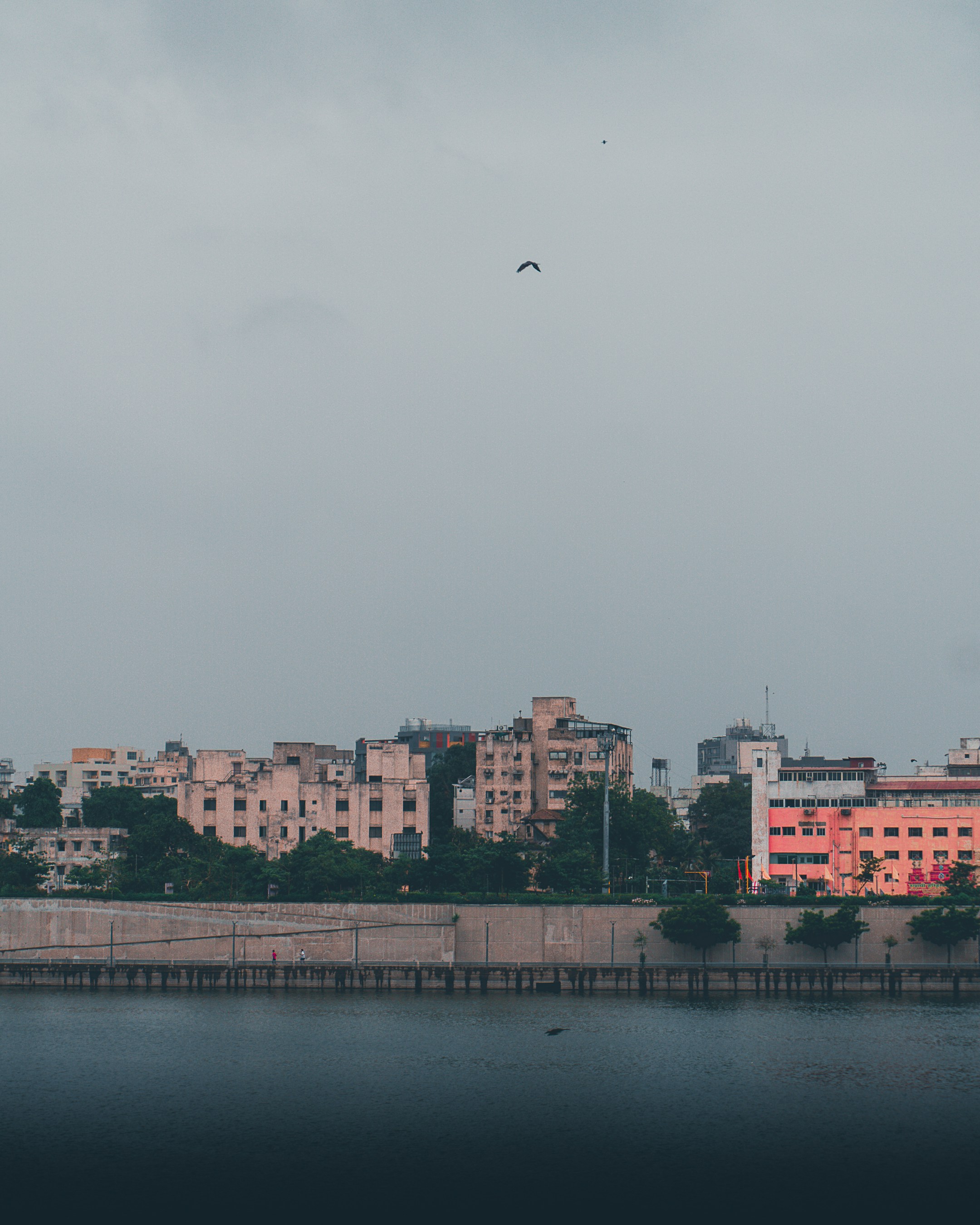 Photo by shubhamdodiya_