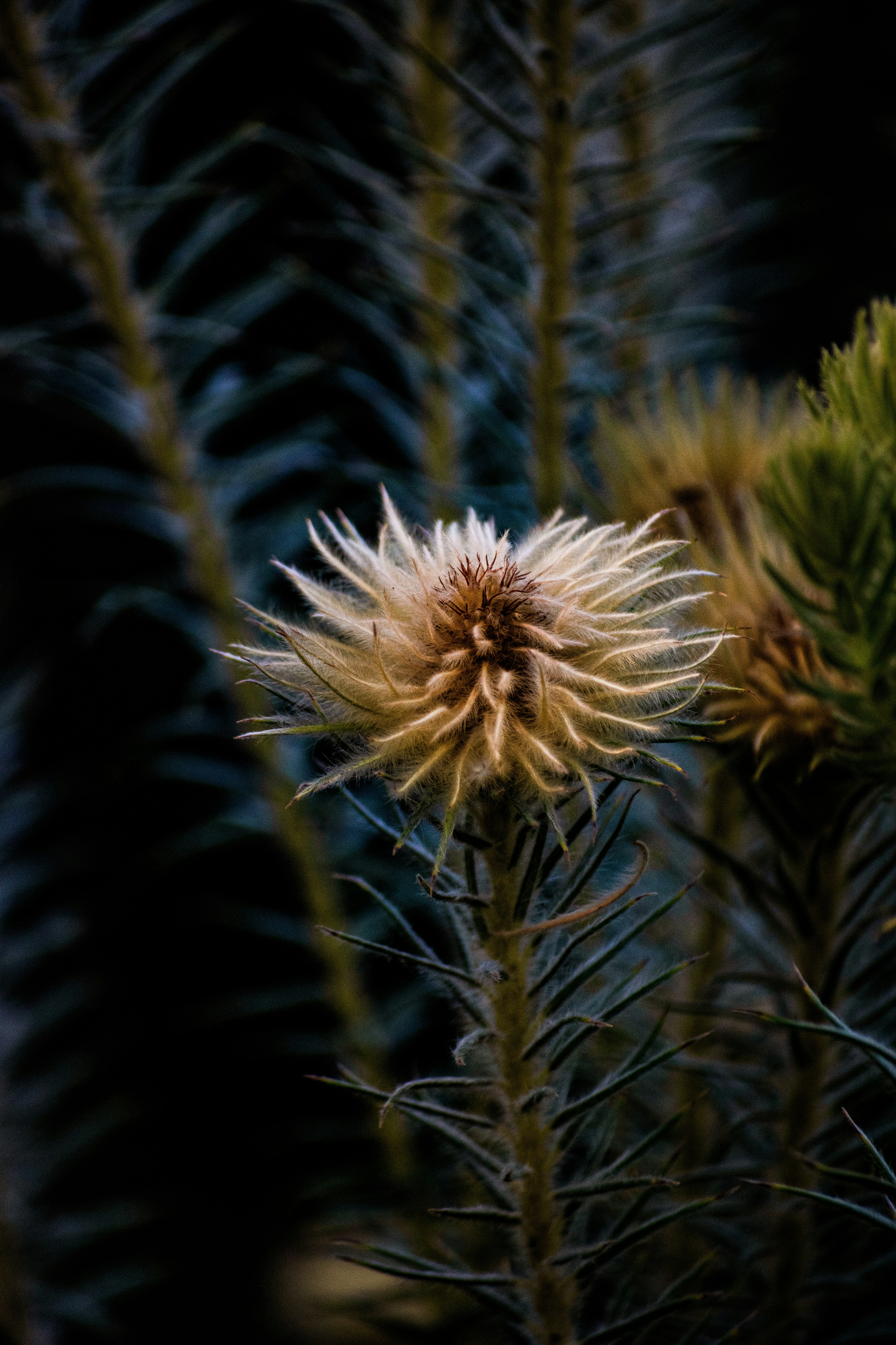 Photo by daniellestein