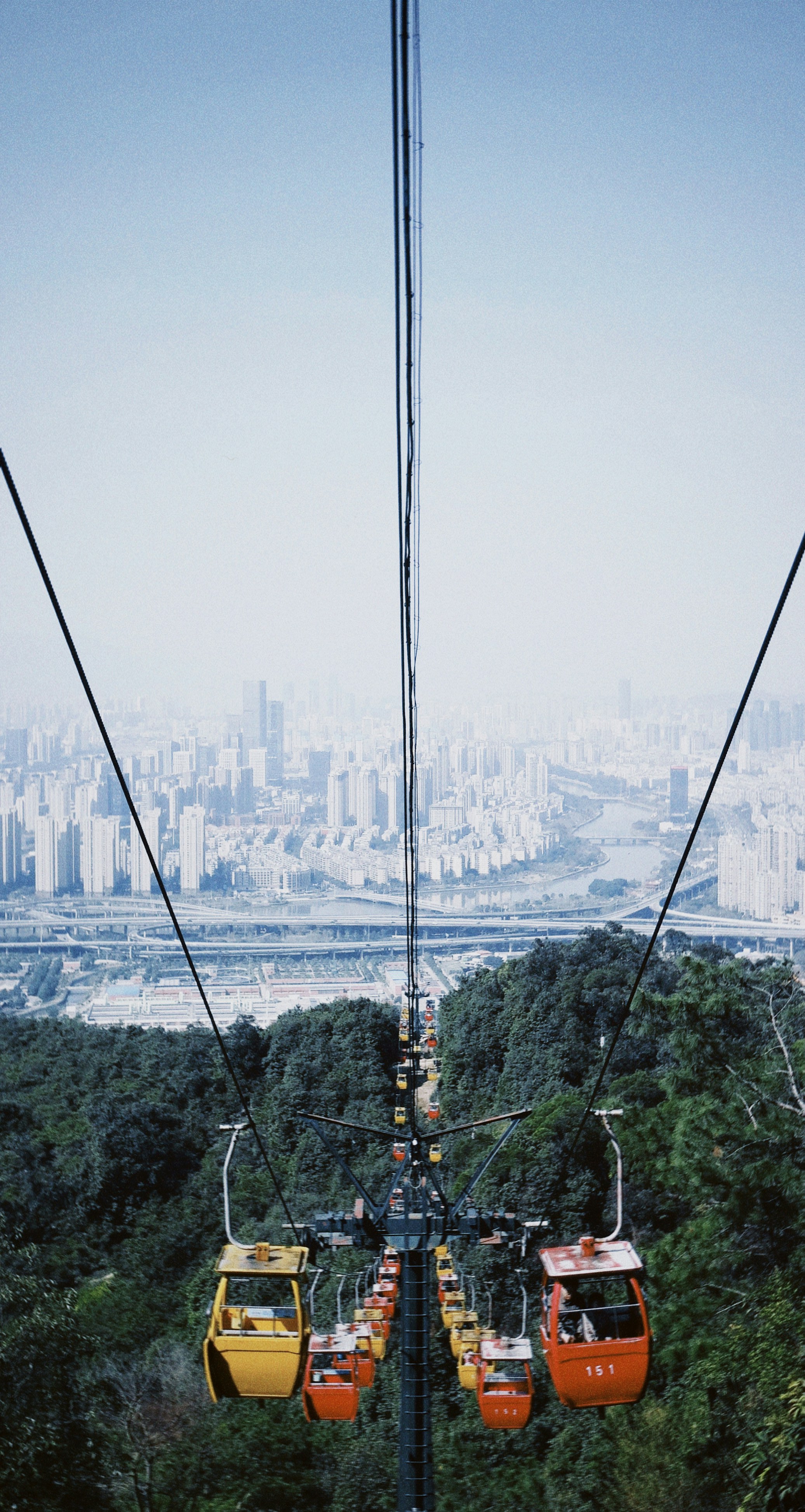 green trees near city buildings during daytime