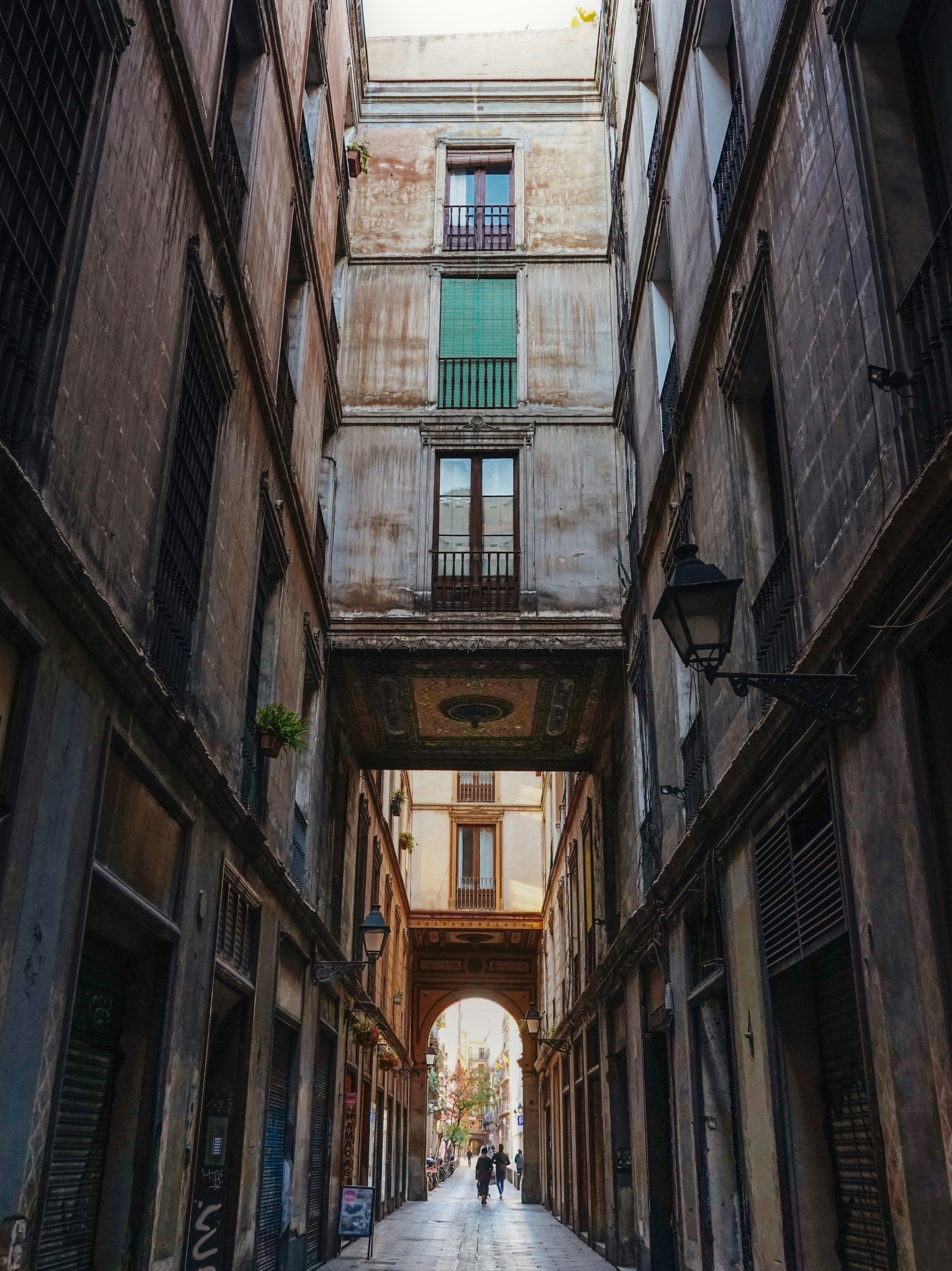 Photo by veragorbunova