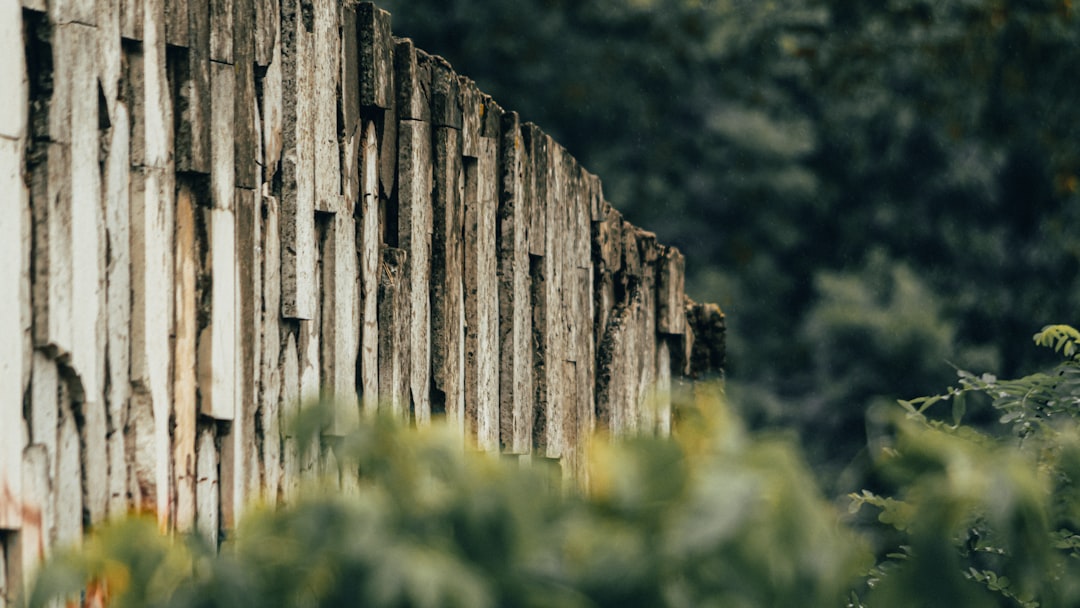 gray concrete wall with green grass