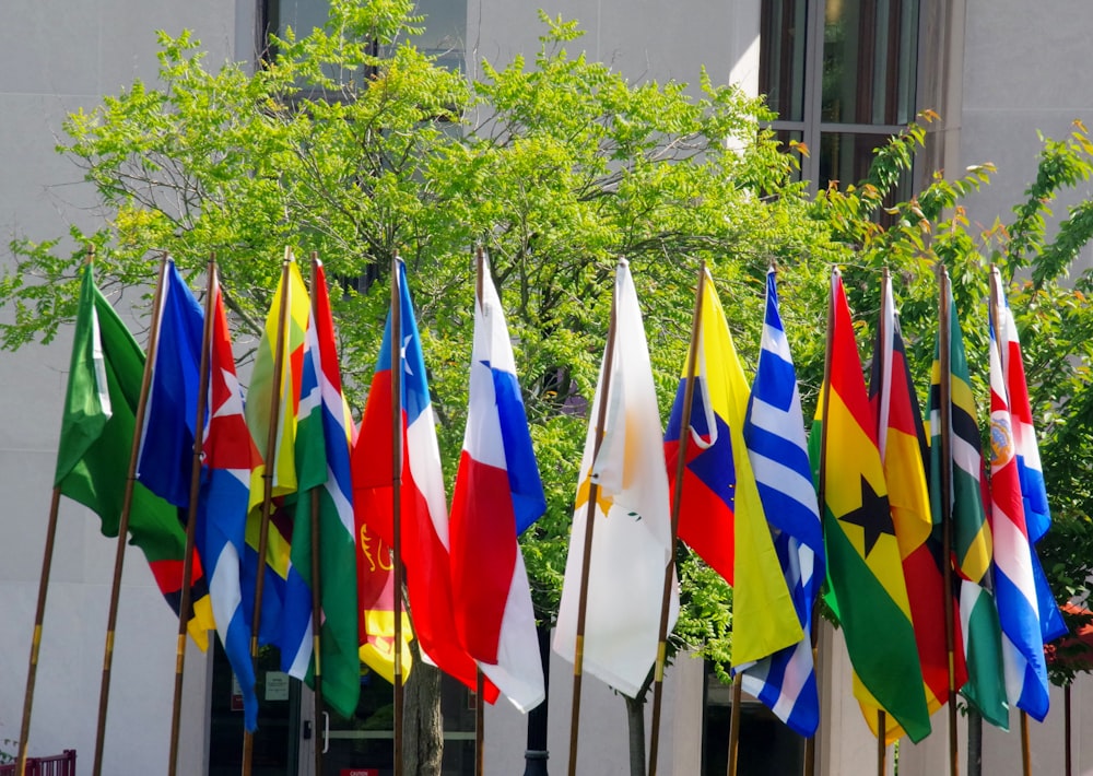 flags on poles near green trees during daytime