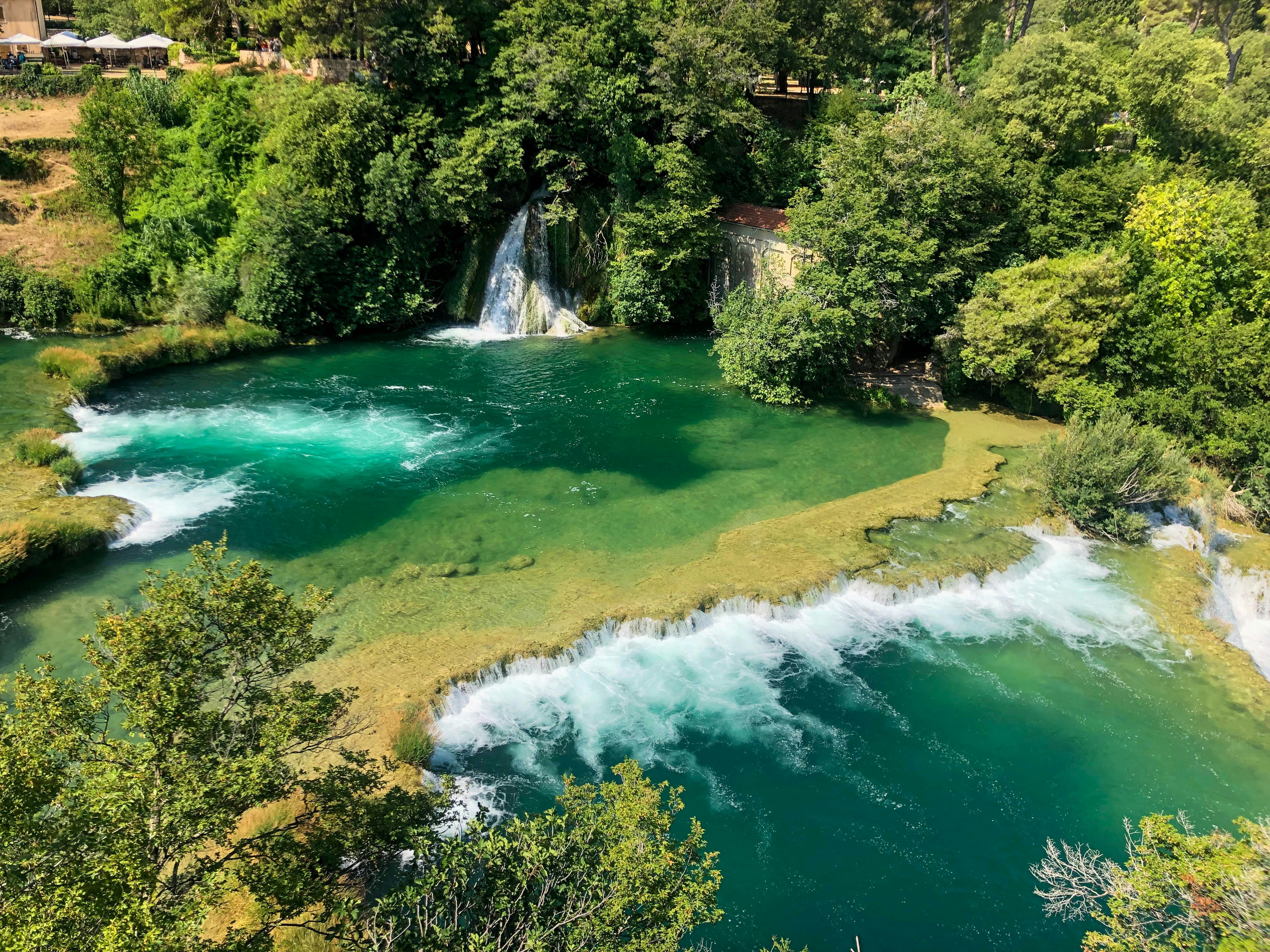 green trees beside river during daytime, 