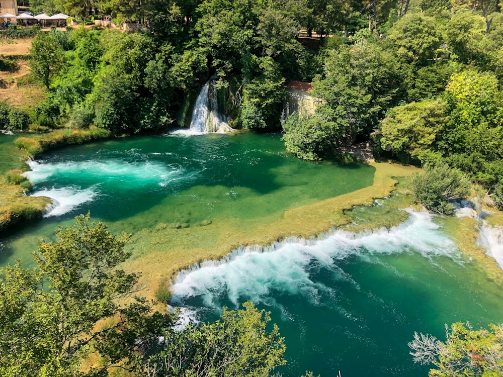 green trees beside river during daytime