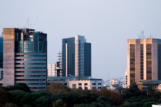 white and brown concrete buildings during daytime