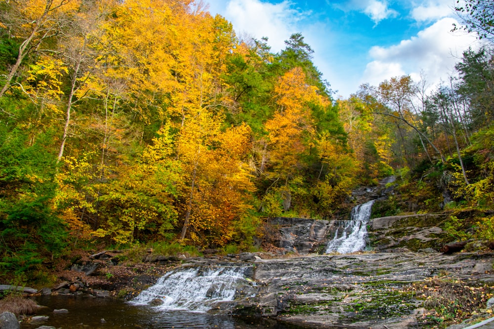waterfalls in the middle of yellow and green trees under blue sky and white clouds during