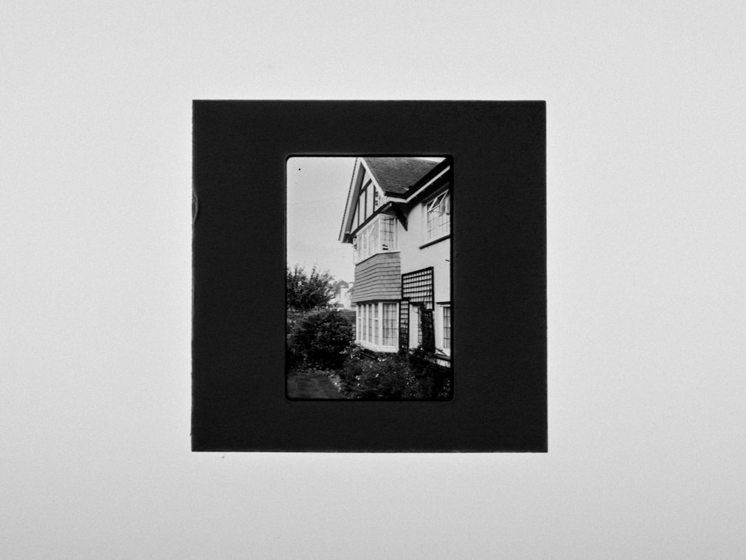 white and black house photo