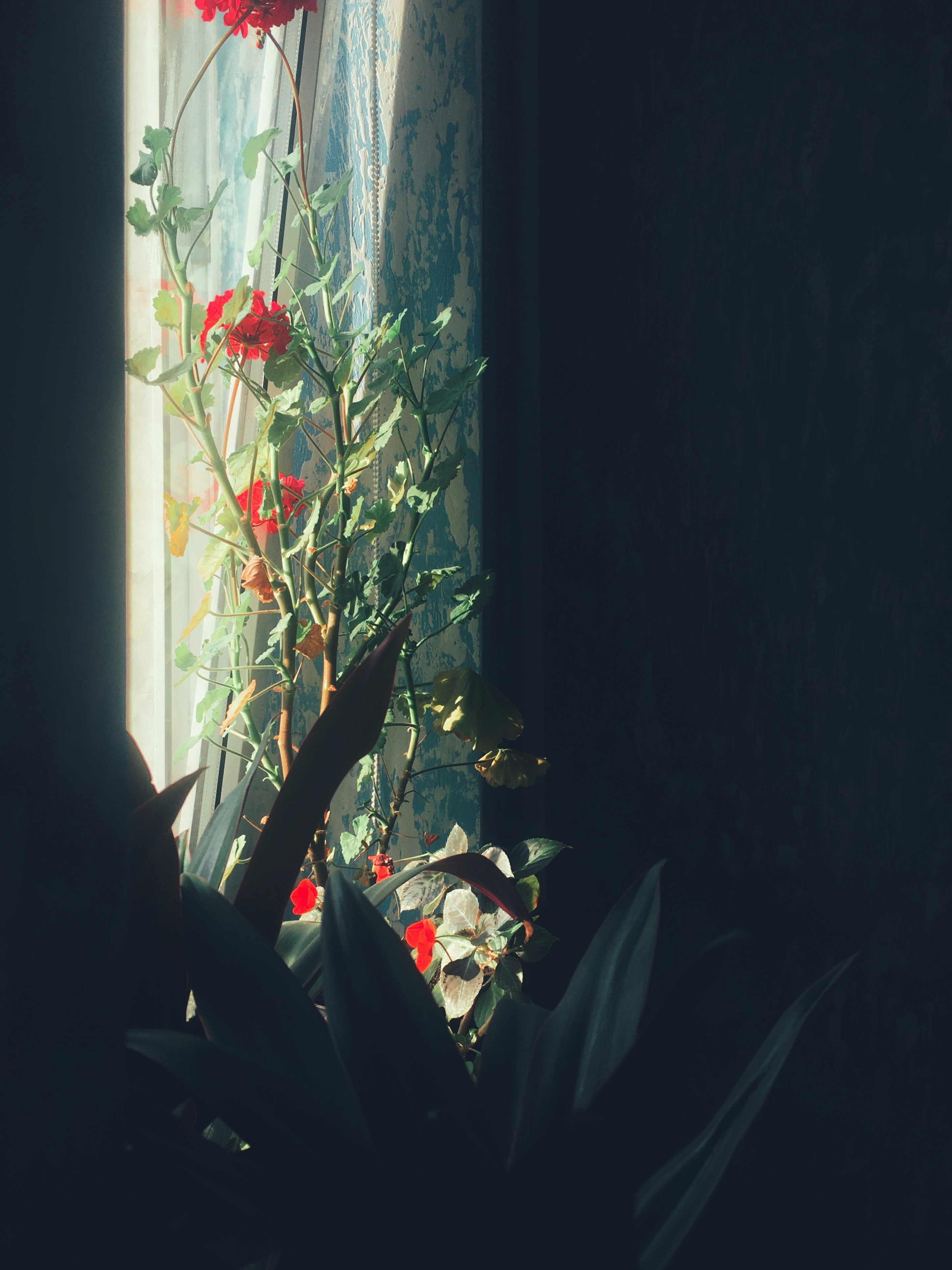 Photo by benjamindem