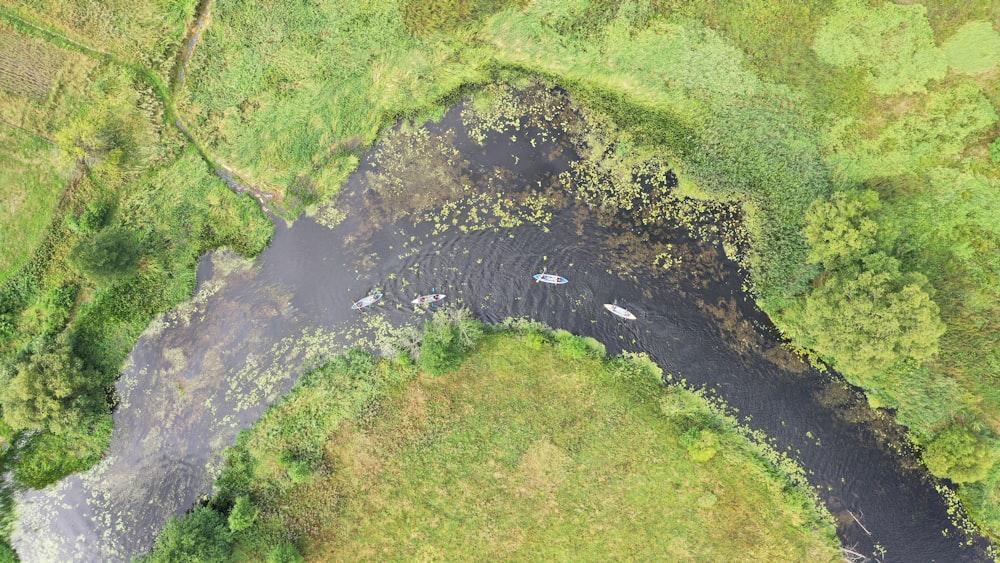 aerial view of green grass field