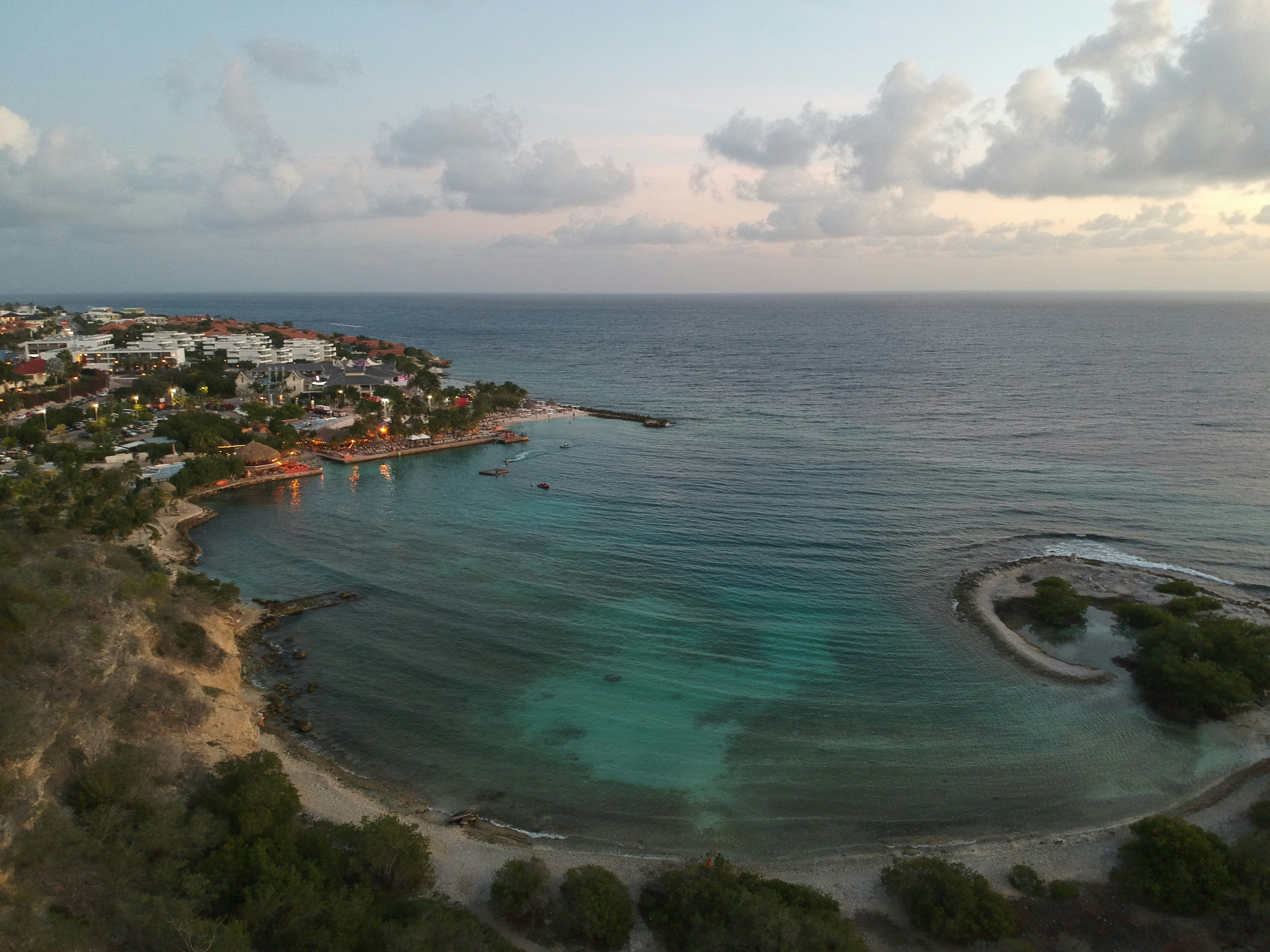 aerial view of green trees near body of water during daytime