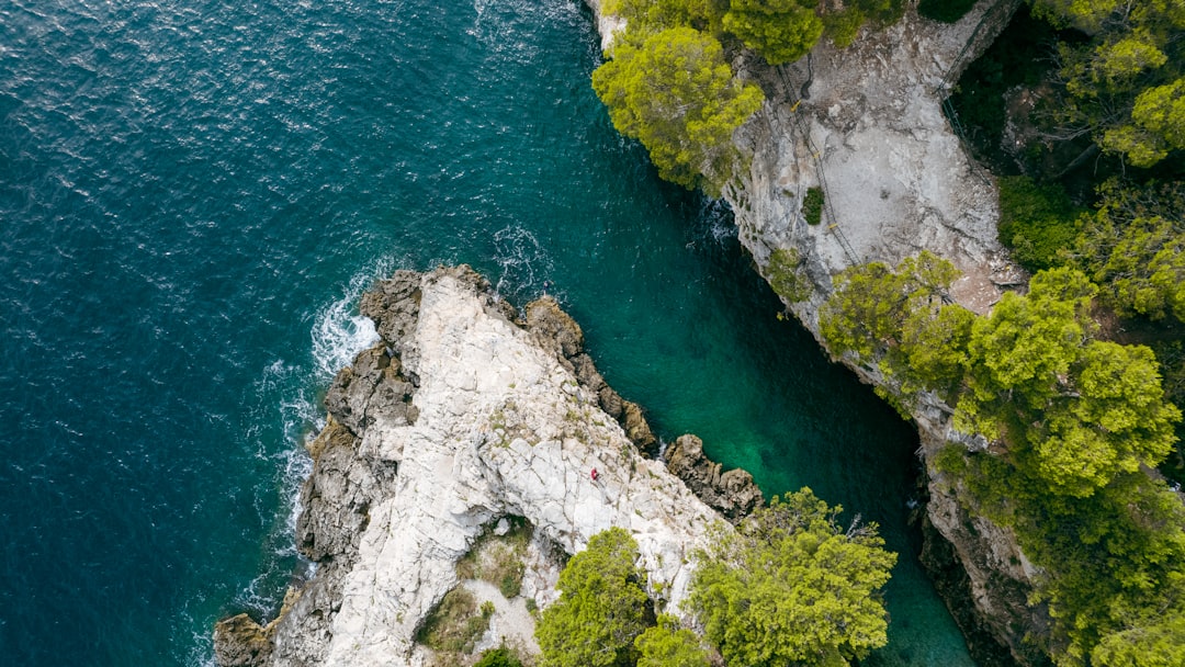 aerial view of green body of water