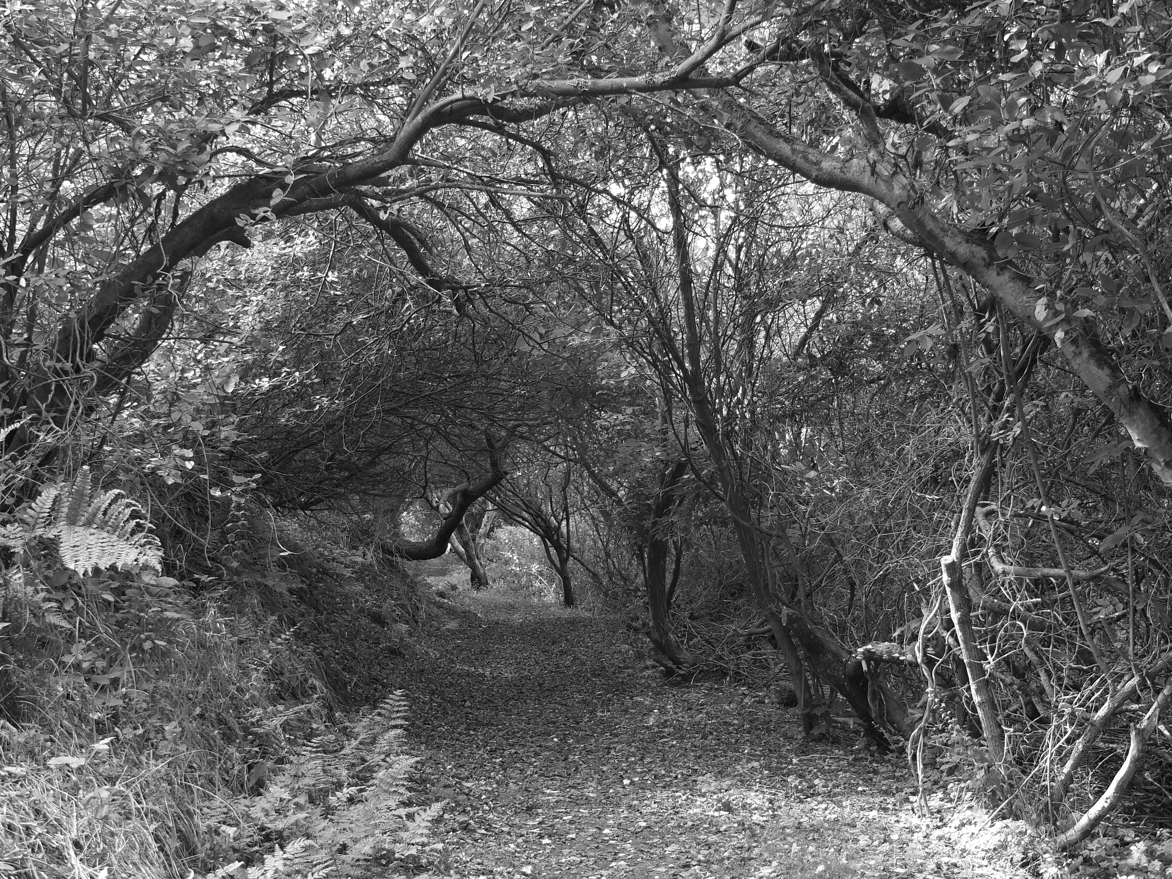 Photo by david_nitschke_95