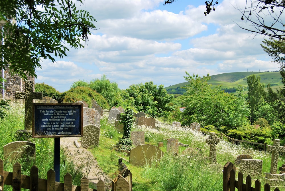 green trees and brown rock formation during daytime