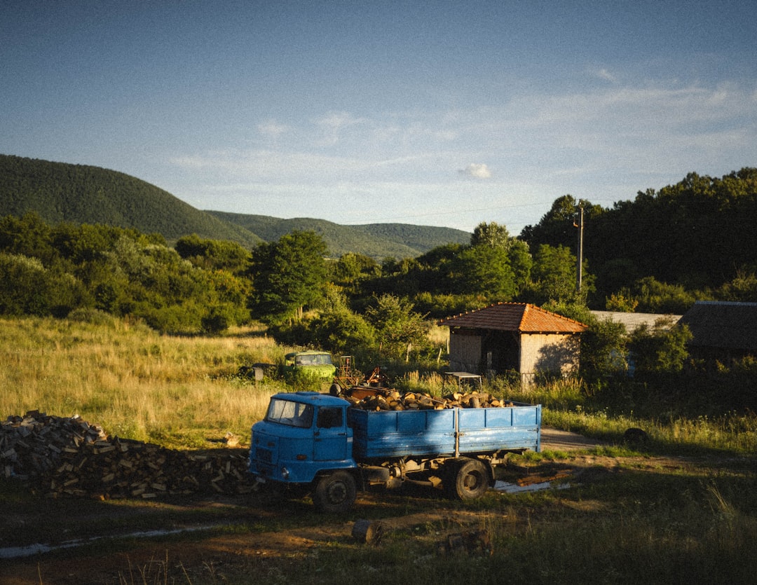 blue truck on dirt road near brown and white house during daytime