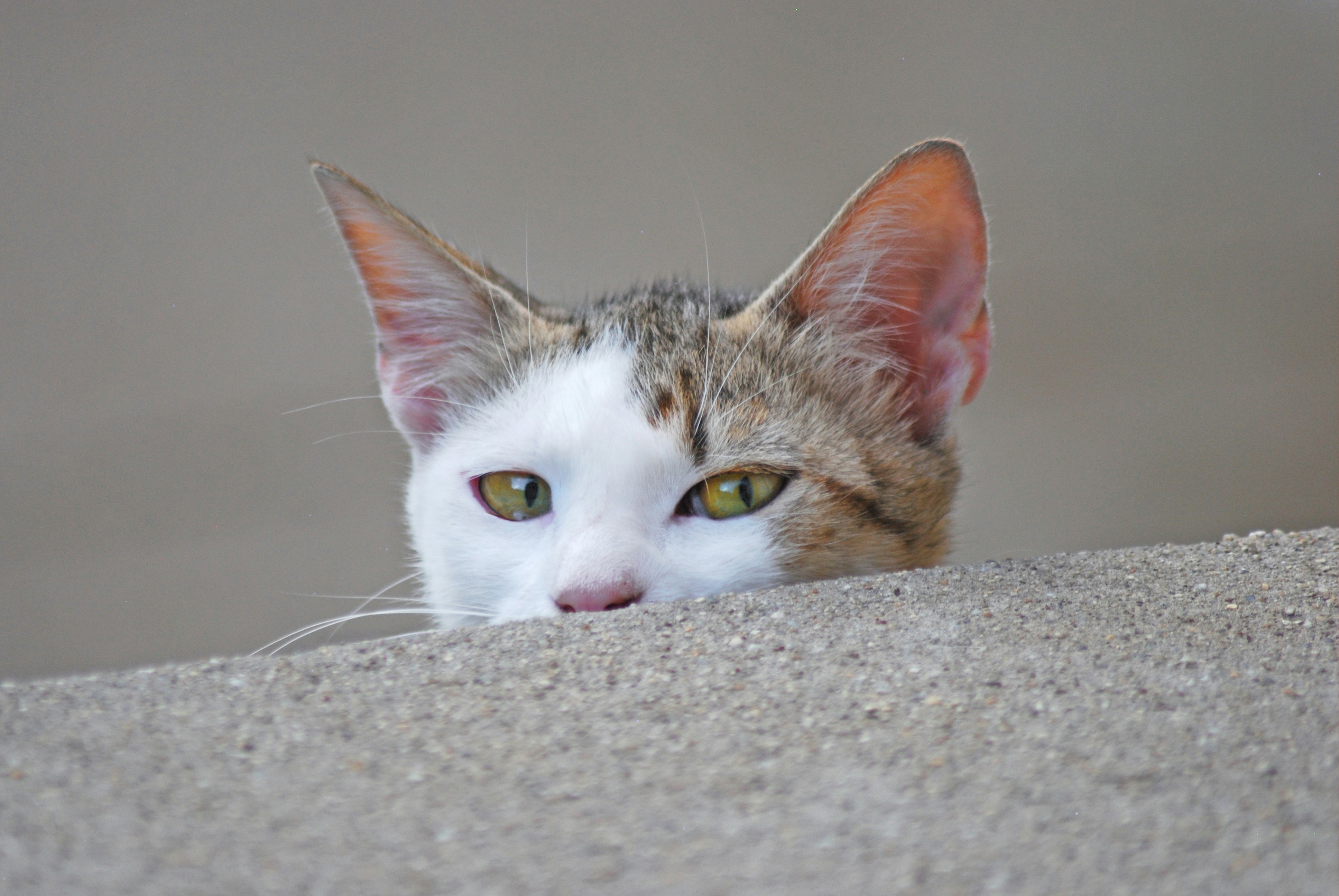 Photo by origamiaround