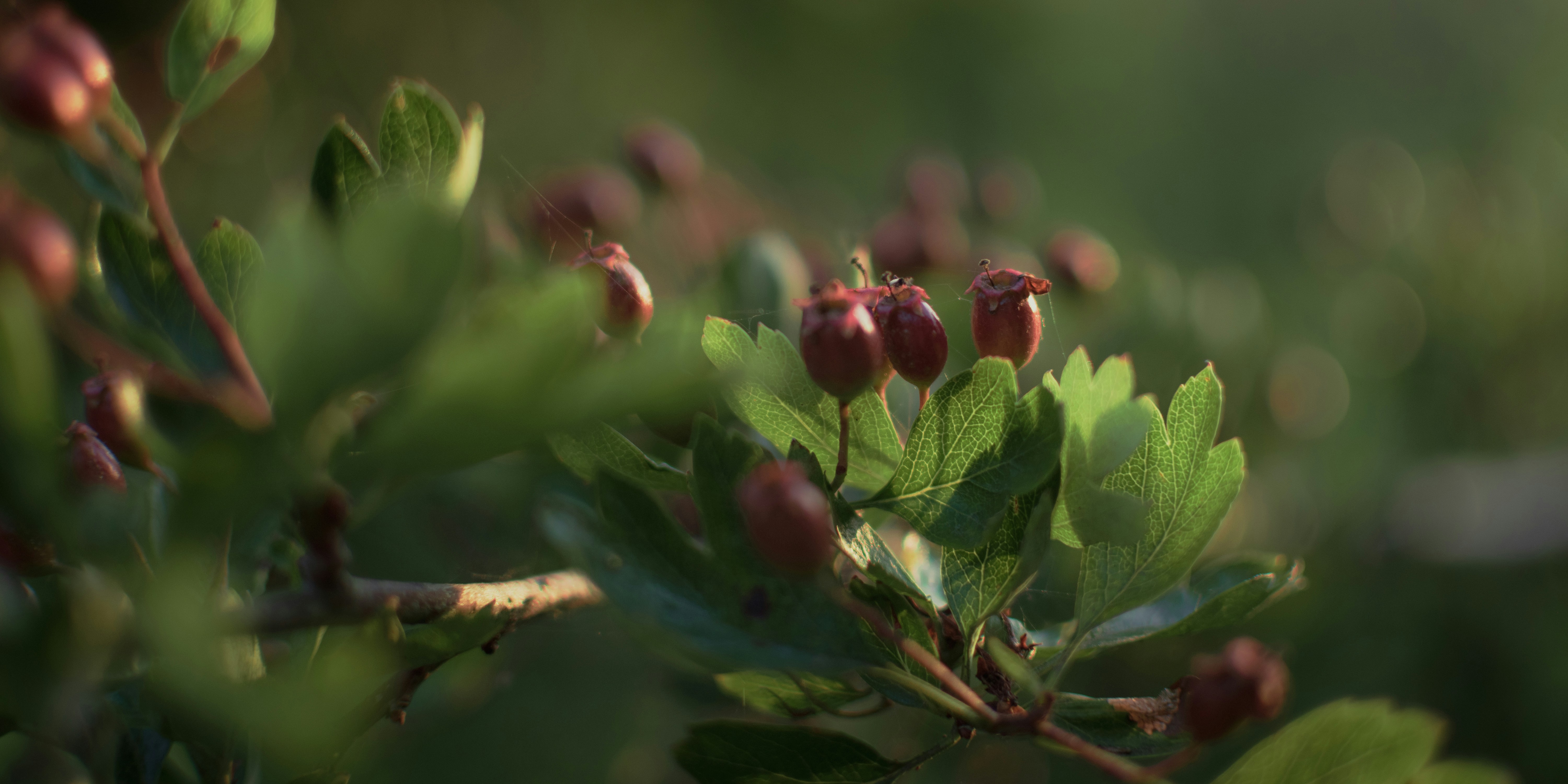 Trivia nights in Wigan, United Kingdom