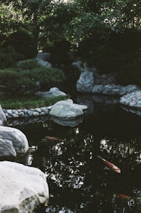 gray rocks on river during daytime