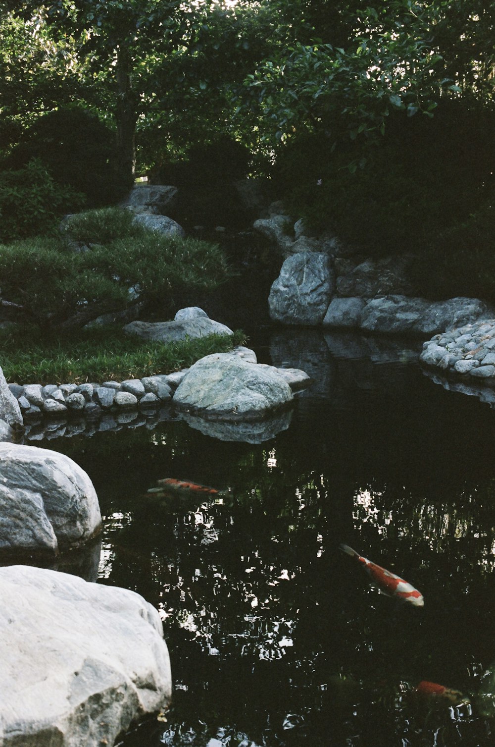 gray rocks on river during daytime