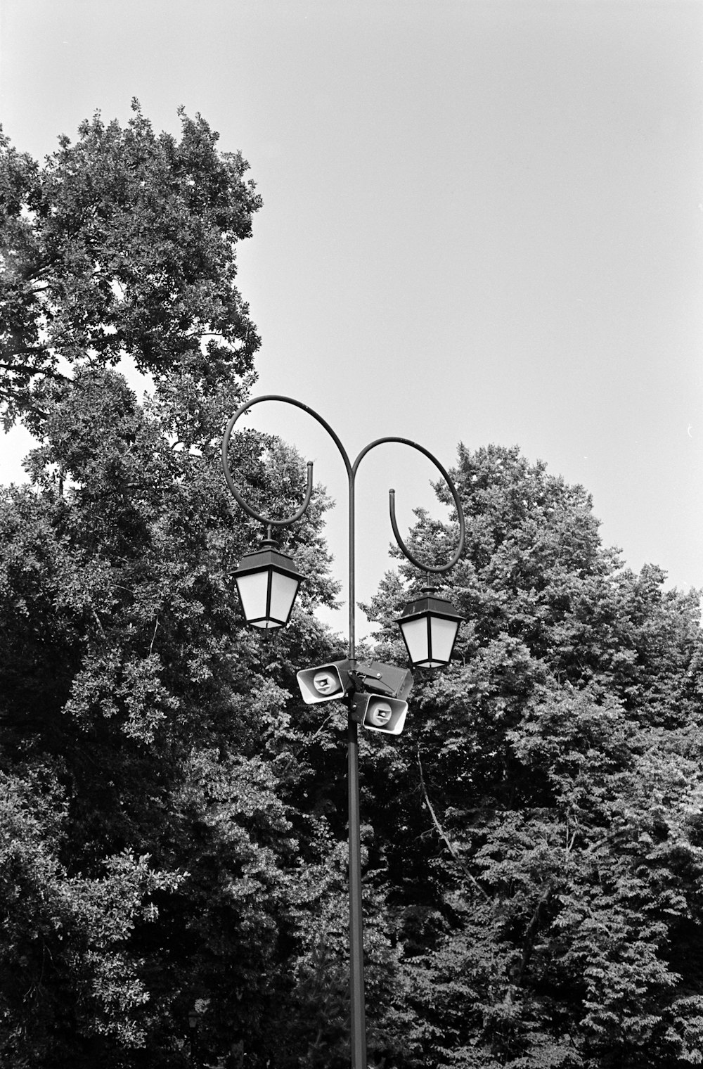 grayscale photo of street light