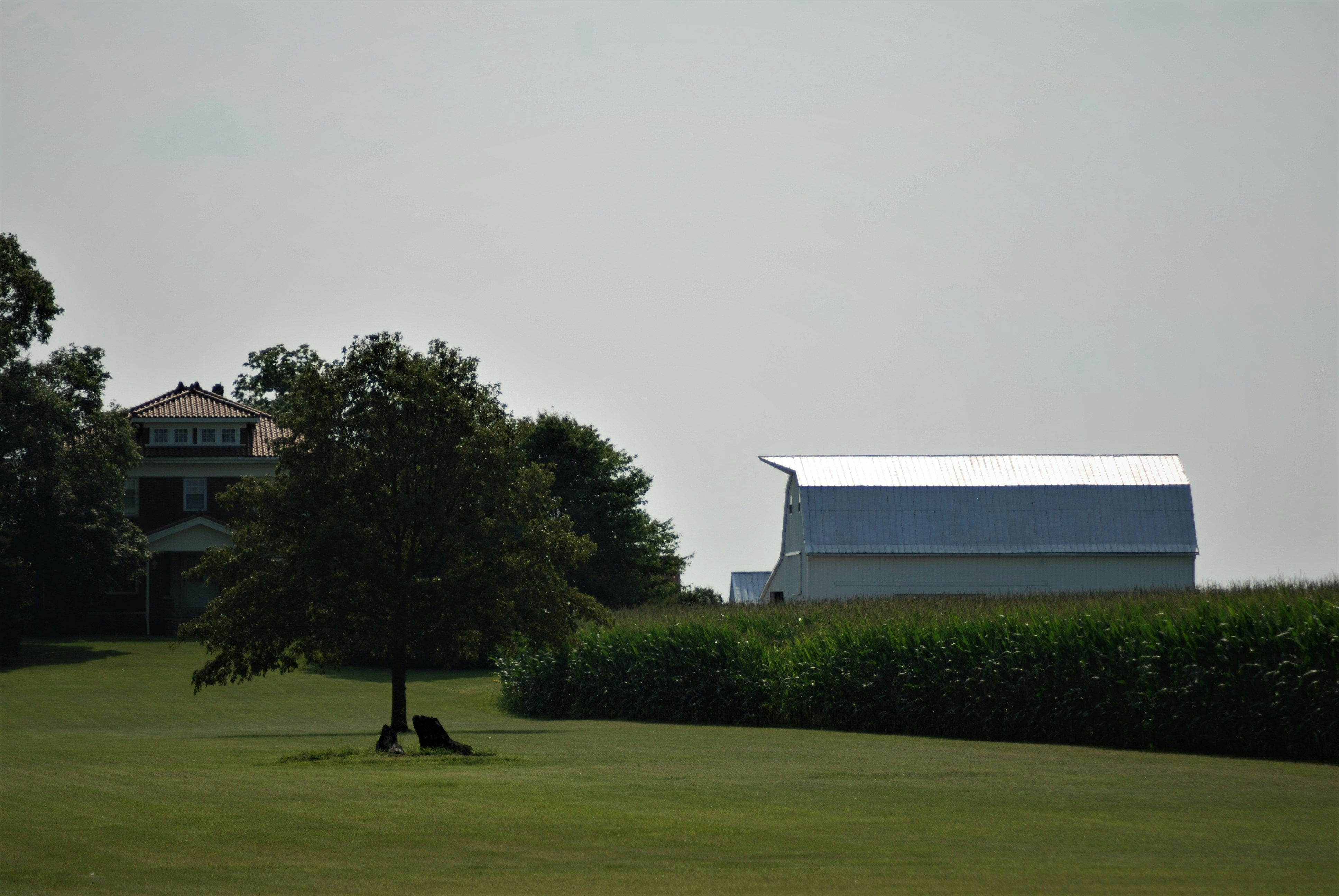 photo-1628295926058-afd9f47eba81?w=2000&auto=format&fit=crop&q=60&ixlib=rb-4.1.0&ixid=M3wxMjA3fDB8MHxzZWFyY2h8MTF8fCVFOSVBQiU5OCVFNSVCMCU5NCVFNSVBNCVBQiVFNyU5MCU4MyVFNSU5QyVCQXxlbnwwfHwwfHx8MA%3D%3D