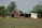 A rural scene with a weathered wooden barn and a white shed surrounded by lush green trees. Several brown cows graze in an open field speckled with small wildflowers.
