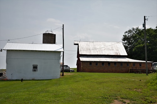 A rural scene with a white building on the left and a larger brick barn with a metal roof on the right. There is a silo in the background, and power lines are visible. The grassy foreground leads into the structures, with trees in the background on the right.