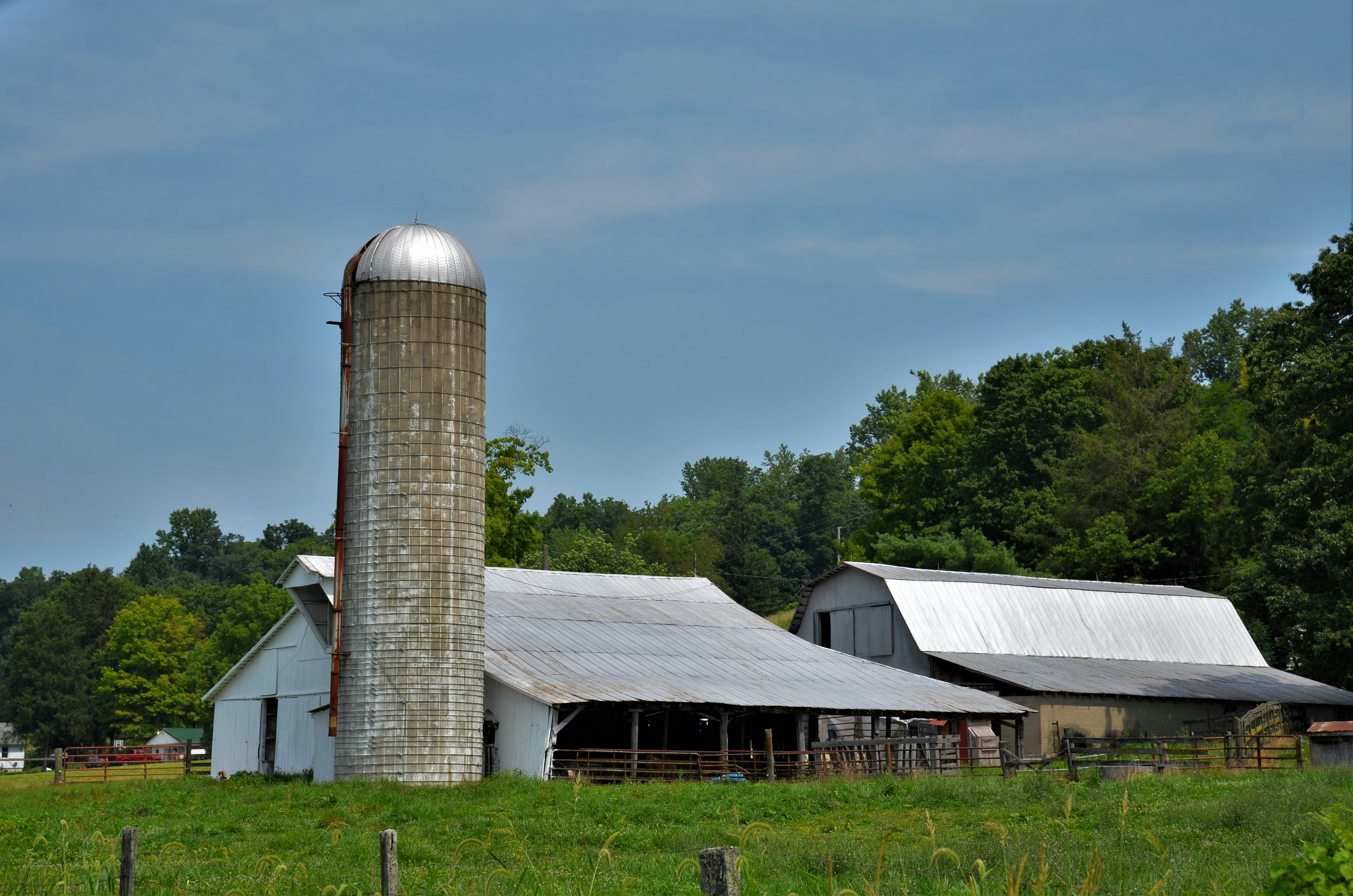white wooden house near green trees under blue sky during daytime