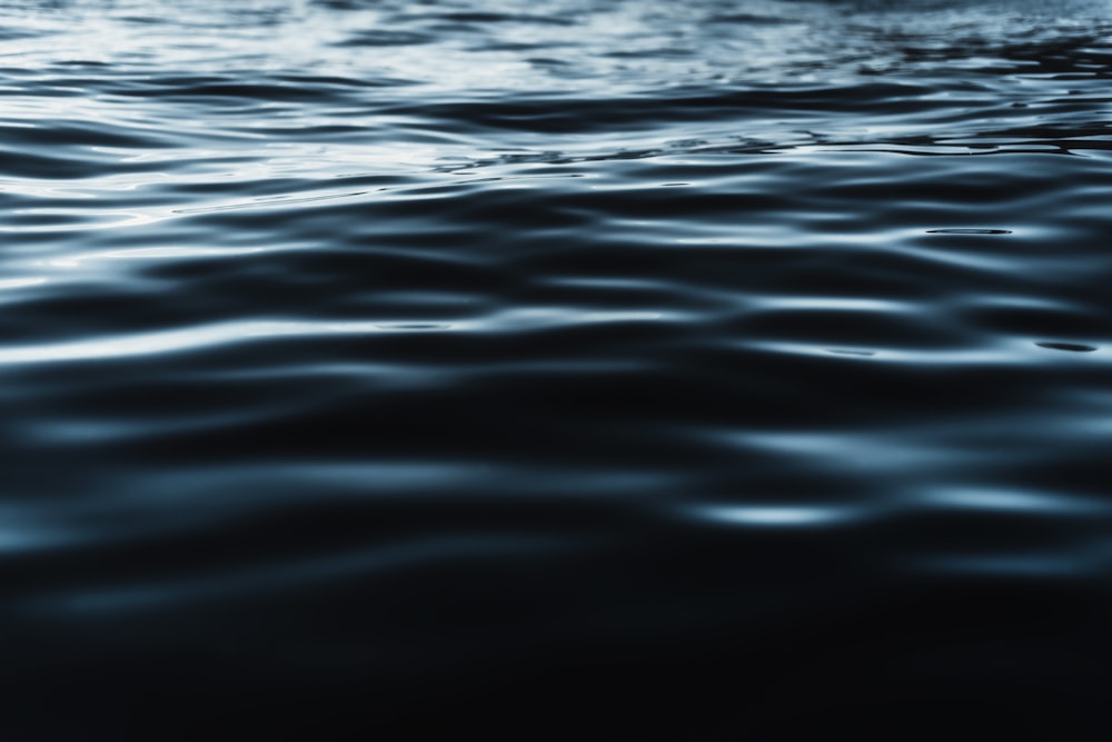 close up photo of body of water