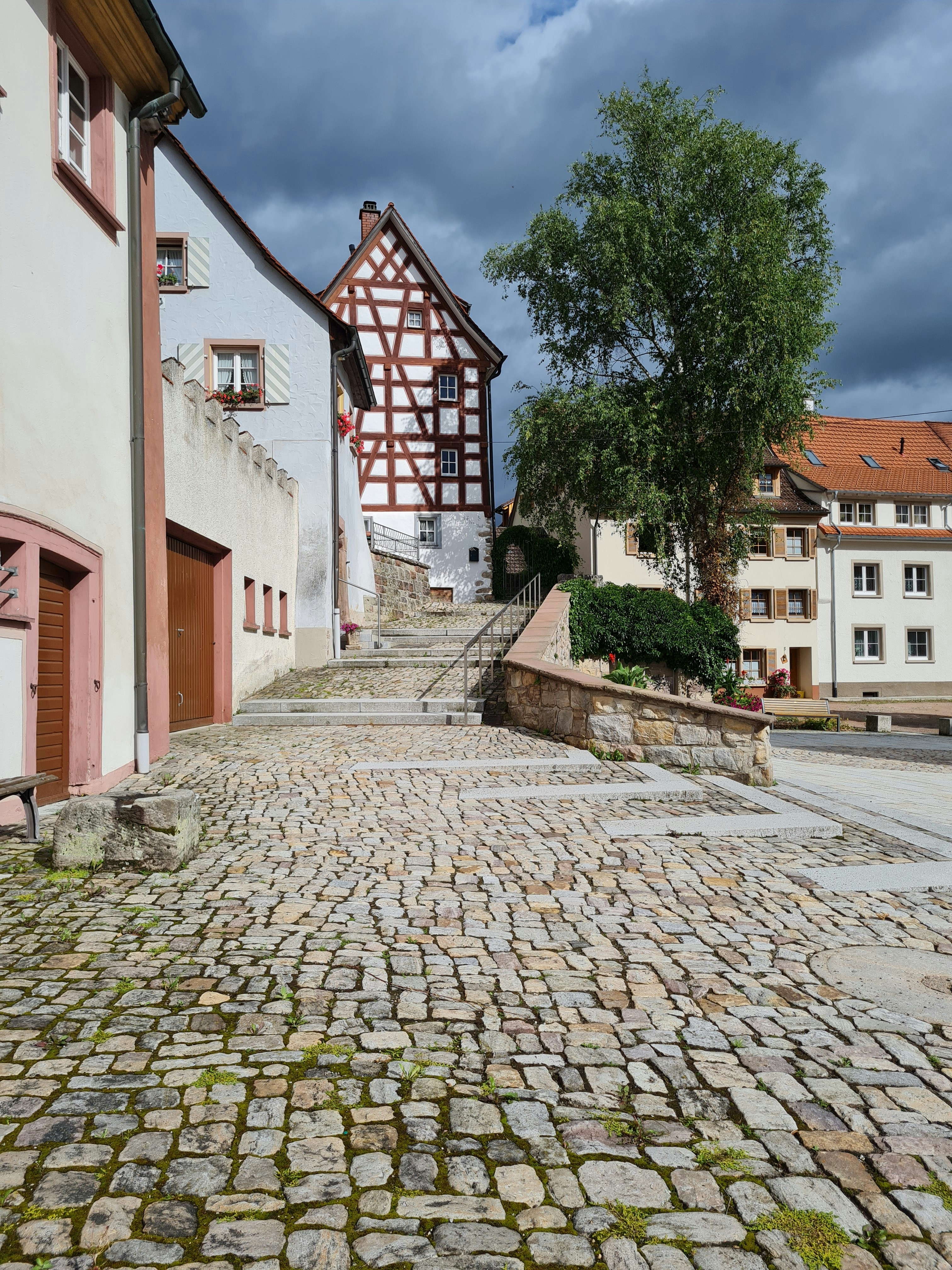 green tree beside white concrete building during daytime