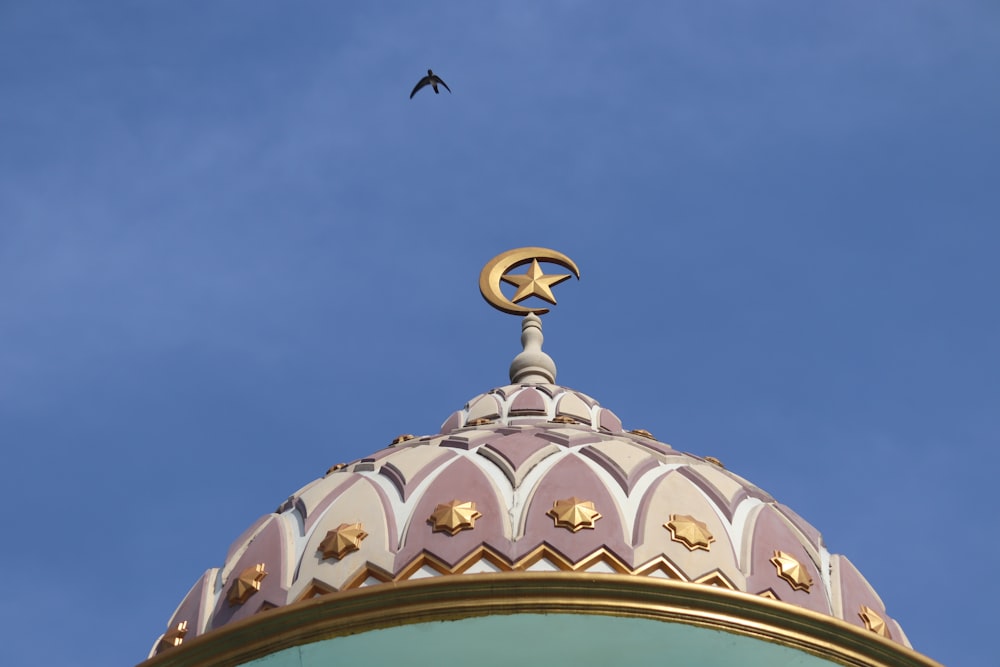 bird flying over white dome building