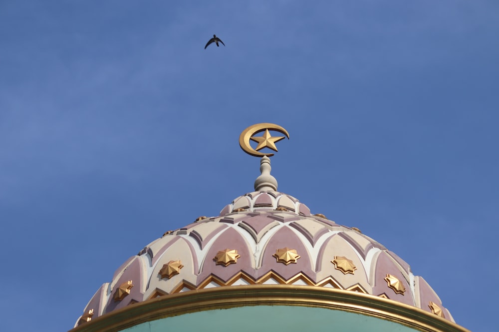 Pájaro volando sobre el edificio de la cúpula blanca