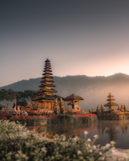 brown and white temple near body of water during daytime