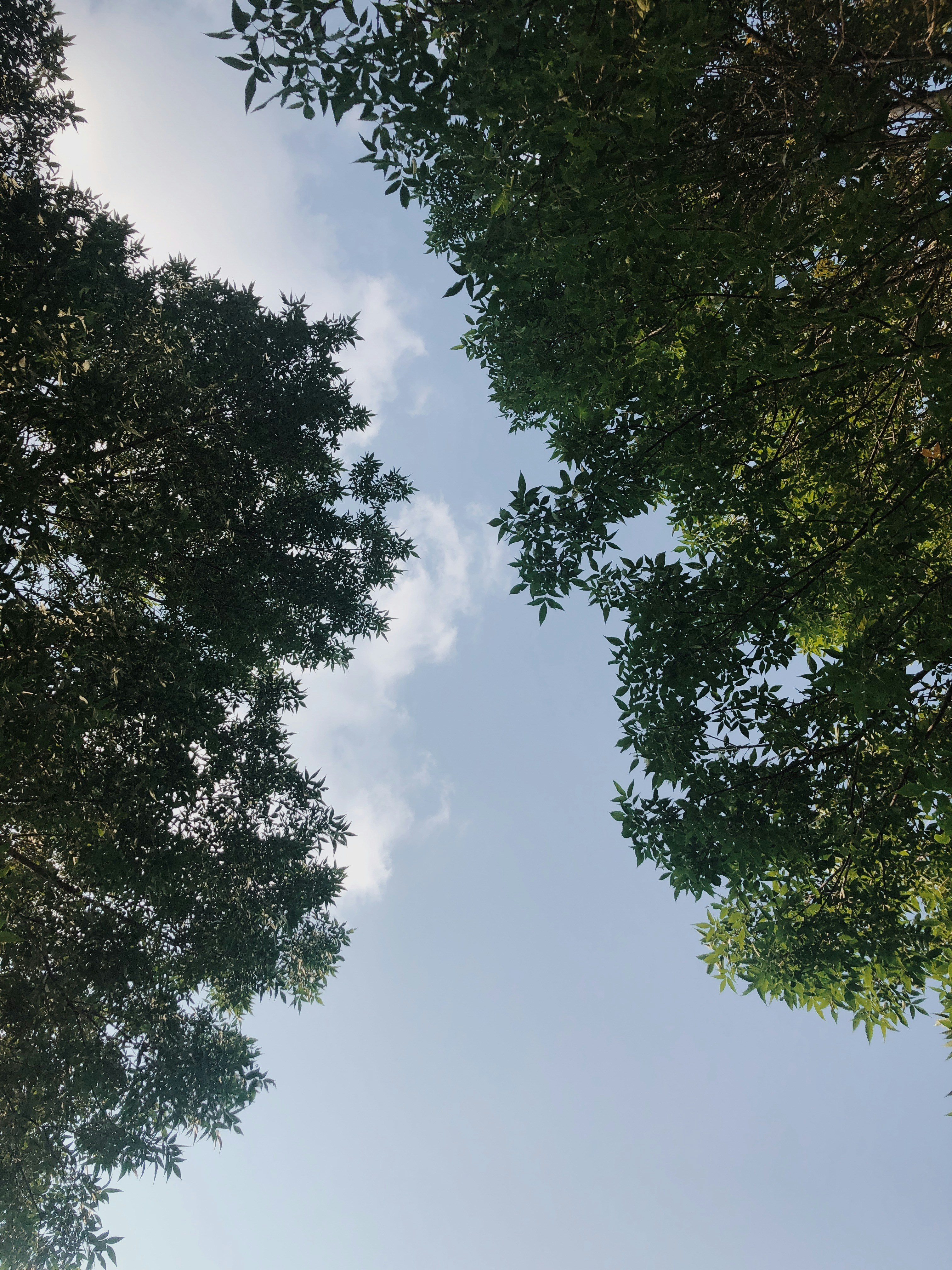 Photo by eternalseconds