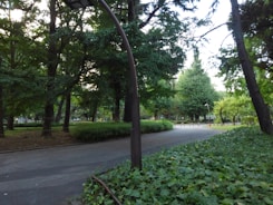 A serene urban park with green trees and walking paths.