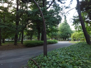 A serene urban park with green trees and walking paths.