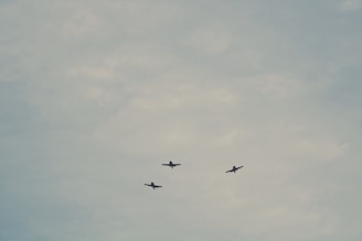 Three birds are silhouetted against a cloudy sky, flying in a triangular formation.