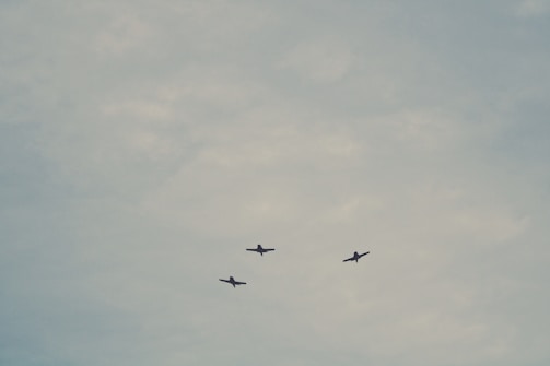 Three birds are silhouetted against a cloudy sky, flying in a triangular formation.