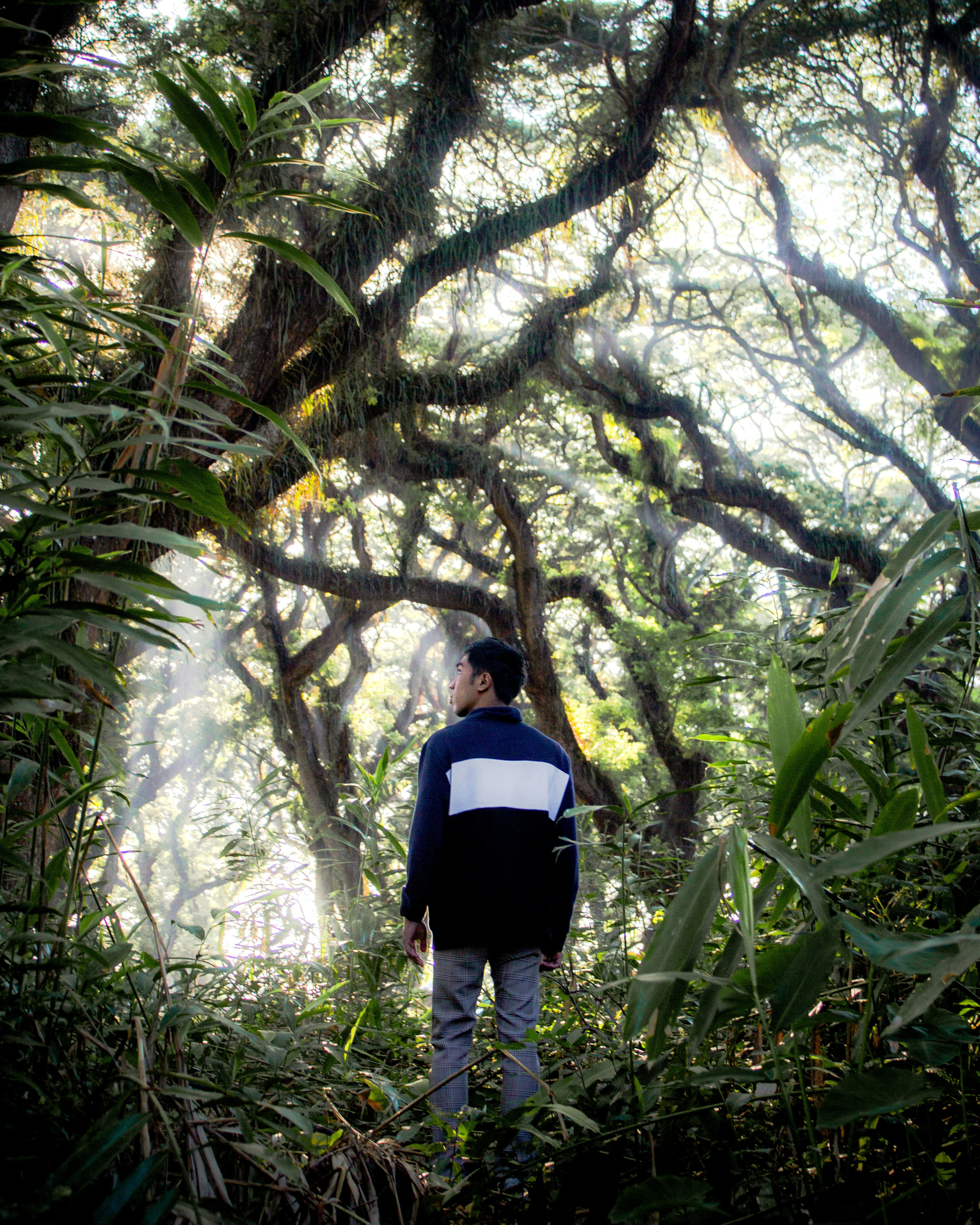 Photo by dikapebriyanta