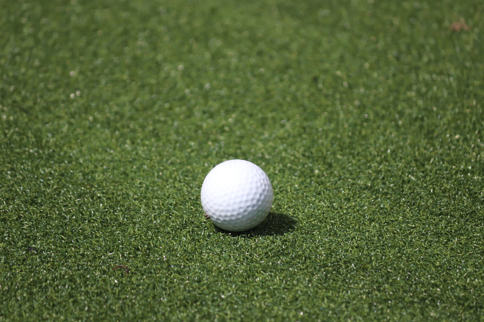 Bóng golf trắng trên thảm cỏ xanh chuẩn bị cho cú đánh