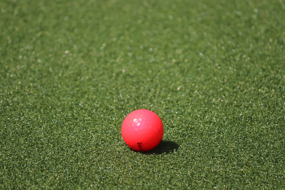 Bola roja en campo de hierba verde