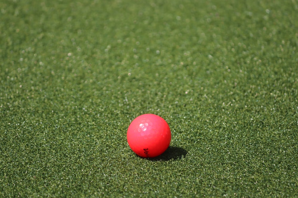 palla rossa su campo in erba verde