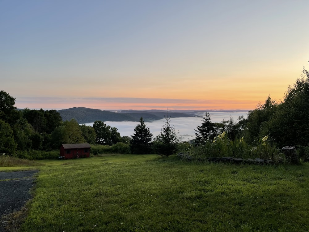 green grass field near body of water during sunset