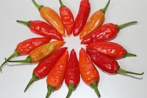 Scotch Bonnet
