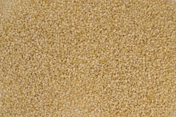 brown and white area rug
