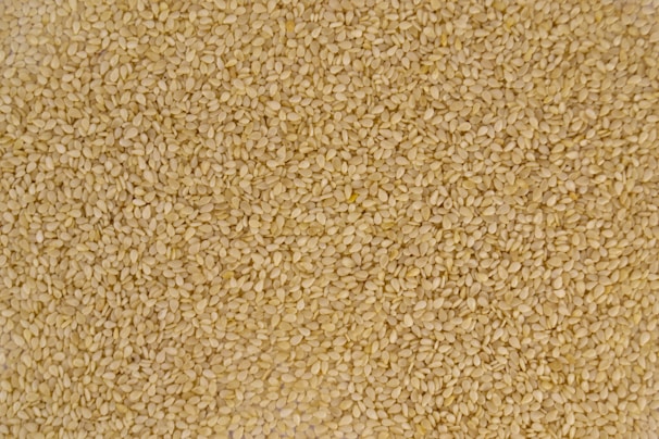 brown and white area rug